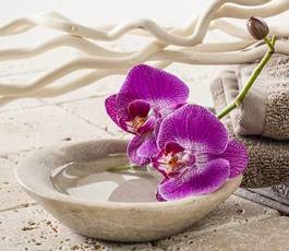 Fotoroleta kwiat zen storczyk wellnes masaż
