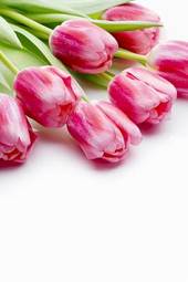 Fotoroleta roślina natura bukiet kwiat tulipan