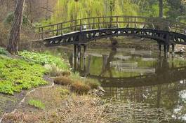 Fototapeta miasto most natura drzewa ogród