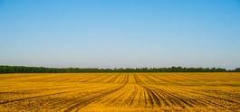 Fotoroleta pole słoma wiejski panorama łąka
