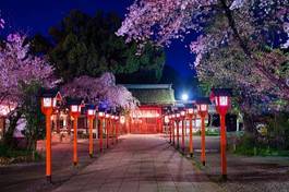 Obraz na płótnie japonia sanktuarium noc