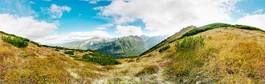 Naklejka trawa panorama góra wzgórze tatry