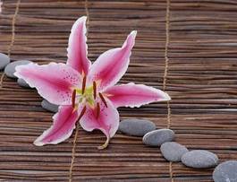 Naklejka kwiat zen zdrowie azja