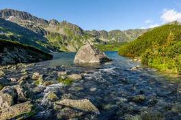 Plakat krajobraz lato tatry dolina woda