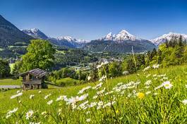 Naklejka natura austria łąka wioska