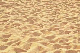 Obraz na płótnie plaża obraz lato ziarno wydma