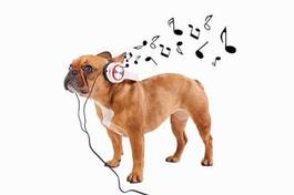 Naklejka muzyka i pies