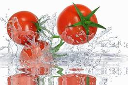 Naklejka pomidor jedzenie warzywo owoc witamina