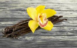 Obraz na płótnie natura storczyk kwiat jedzenie wanilia