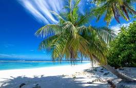 Naklejka raj karaiby plaża niebo woda