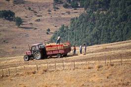 Naklejka trattore agricolo