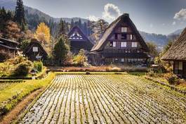 Naklejka japoński pole japonia drzewa architektura