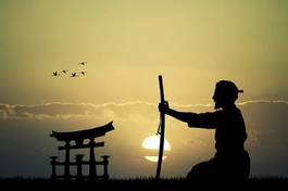 Fototapeta mężczyzna sztuki walki sztuka japoński