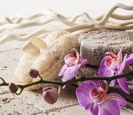 Fototapeta storczyk kwiat zen wellnes masaż