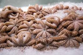 Obraz na płótnie jedzenie rynek morze świeży lód