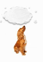 Obraz na płótnie balon pies ładny zwierzę