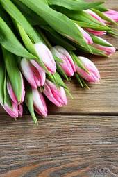 Plakat świeży kwiat natura piękny tulipan