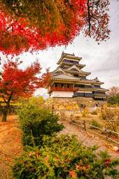 Fotoroleta tokio jesień świątynia