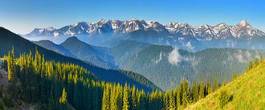 Fototapeta panorama pejzaż panoramiczny las