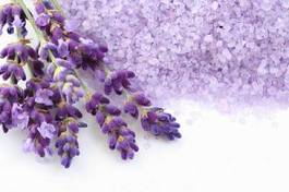 Obraz na płótnie kosmetyk aromaterapia natura kwiat roślina
