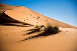 Naklejka pejzaż afryka pustynia wydma żółty
