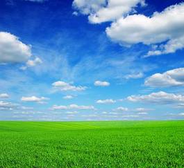Fotoroleta niebo panoramiczny trawa pejzaż wiejski