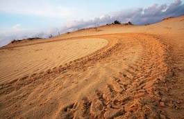 Obraz na płótnie motor trawa motocross pustynia wydma