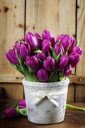 Fototapeta ogród tulipan kwiat piękny roślina