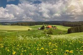 Fotoroleta rolnictwo wierzba ogród panorama