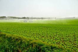 Fotoroleta woda pole rolnictwo