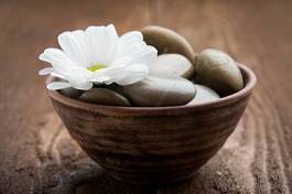 Fotoroleta wellnes masaż aromaterapia