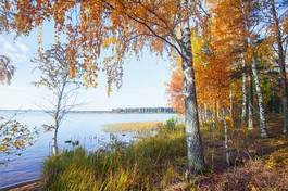 Obraz na płótnie jesień świeży wiejski park las