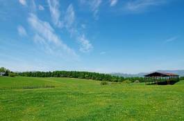 Naklejka pastwisko trawa krajobraz japonia błękitne niebo