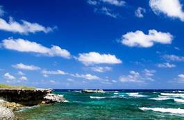 Naklejka raj hawaje karaiby egzotyczny