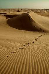 Obraz na płótnie fala afryka lato pustynia egipt