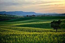 Obraz na płótnie lato wieś europa rolnictwo krajobraz