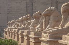 Fotoroleta antyczny świątynia niebo egipt statua