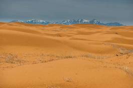 Obraz na płótnie natura pustynia ameryka