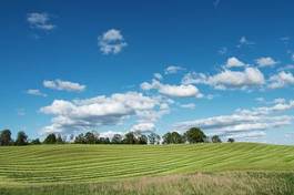 Fototapeta europa jedzenie trawa wiejski wzgórze