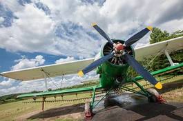 Fotoroleta łąka niebo trawa stary samolot
