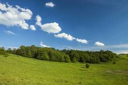 Obraz na płótnie drzewa pole dolina lato niebo