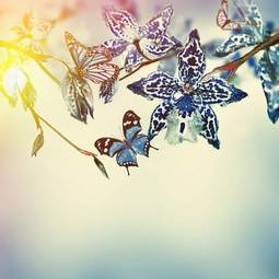 Naklejka lato motyl storczyk kwitnący
