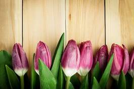 Naklejka bukiet tulipan natura piękny świeży