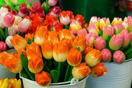 Plakat lato piękny tulipan rynek natura