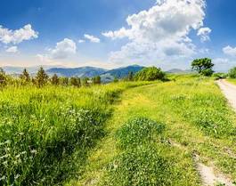 Obraz na płótnie góra widok natura wiejski łąka