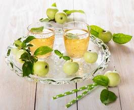 Obraz na płótnie zdrowy świeży napój owoc gałązka