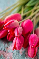 Plakat miłość natura bukiet stary tulipan