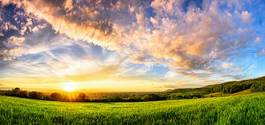 Fototapeta pole krajobraz słońce niebo roślina