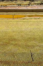 Obraz na płótnie pustynia woda rolnictwo zanieczyszczenie