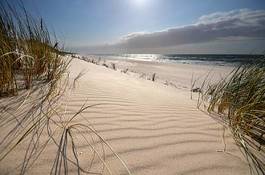 Naklejka trawa słońce plaża